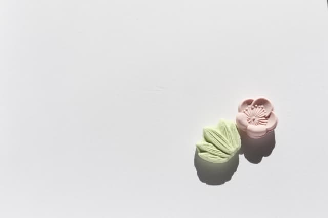 23559267_s